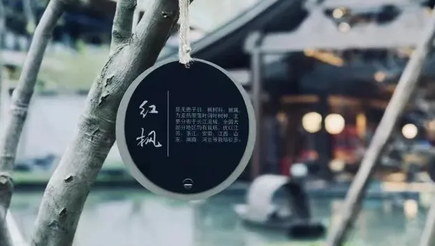 上海VI設(shè)計公司作品案例展示