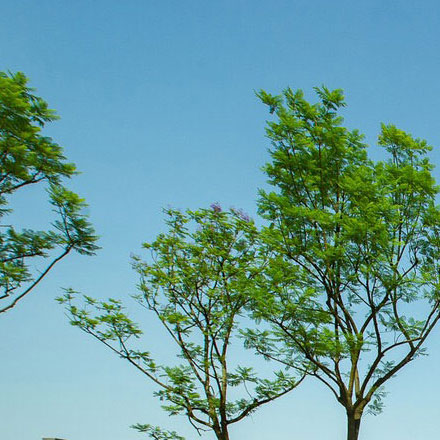 深圳vi設計作品案例展示