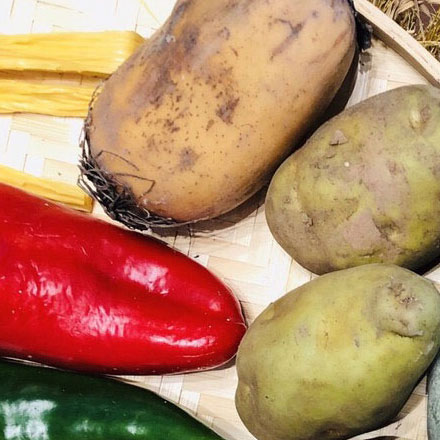 深圳vi設計作品案例展示