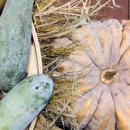 深圳vi設計作品案例展示