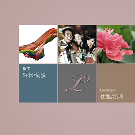 VI公司作品案例展示